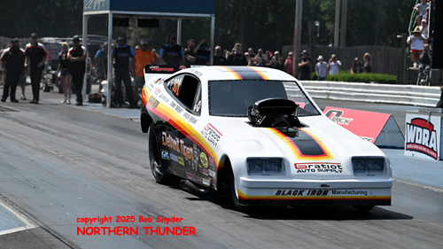 Steve Timoszyk - 'Detroit Tiger'